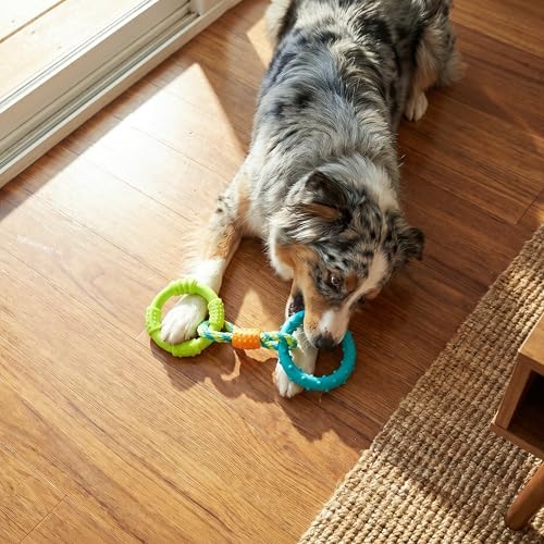 Pupstages Dental Links Dog Chew Toy, Textured Rings & Woven Rope - Image 5