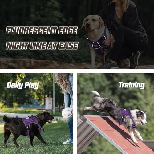 AUROTH Dog Harness for Small Medium Dogs, Tactical No Pull Dog Vest - Image 5