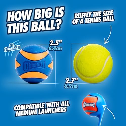 Chuckit! Ultra Squeaker Fetch Balls - Image 5