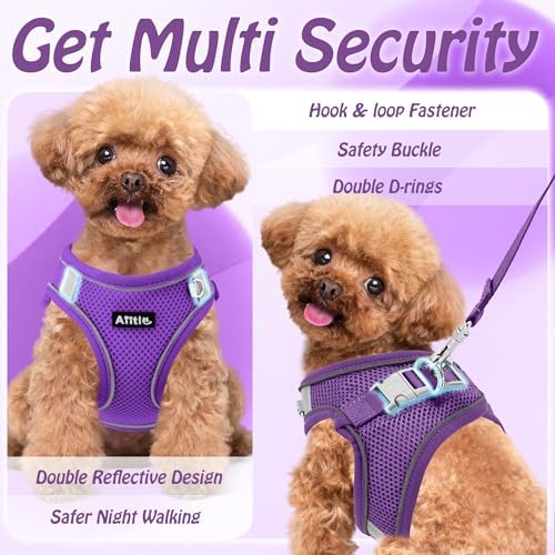 AIITLE Dog Harness and Leash Set, Step-in Puppy Pet Vest, Pure Purple XXXS - Image 5