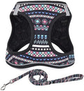 Mihqy Step in Dog Harness and Leash Set, Breathable Mesh by Mihqy