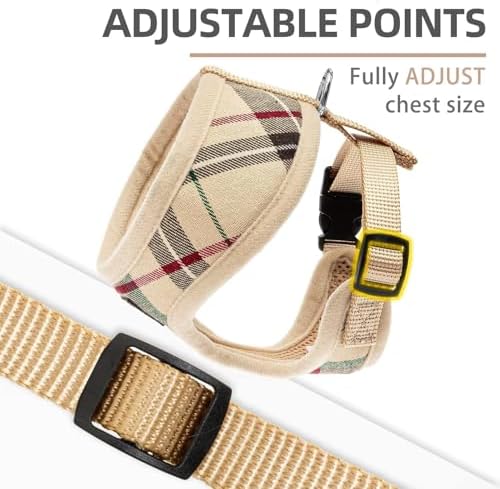 PUPTECK Small Dog Harness and Leash Set No Pull - Image 3