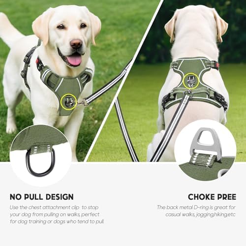 Timos Dog Harness Large Sized, Quick Release Buckles - Image 6