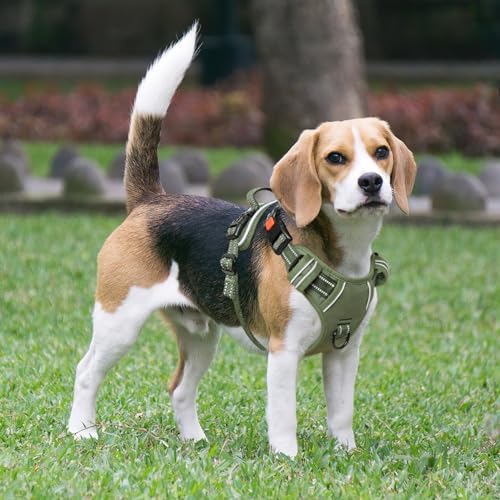 Timos Dog Harness Large Sized, Quick Release Buckles - Image 3