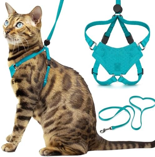 OutdoorBengal Houdini™ Escape Proof Kitten Harness and Leash by OutdoorBengal