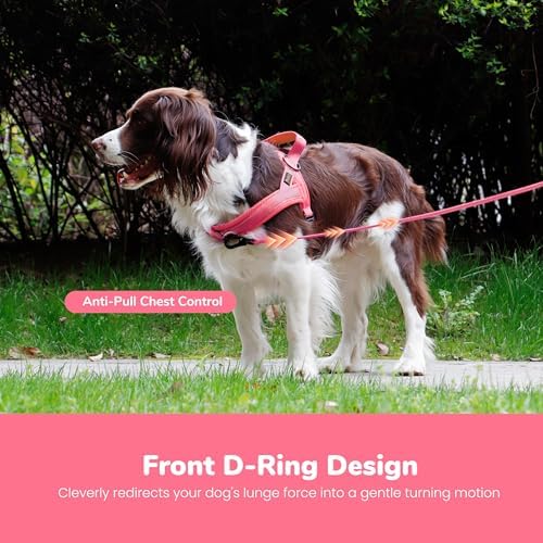 Didog No Pull Dog Harness for Large Dogs, Breathable Mesh Padded - Image 5