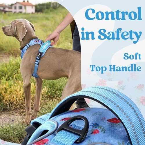 rabbitgoo Dog Harness Medium Sized, Updated Easy On & Off - Image 5