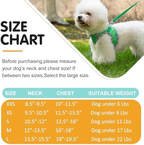 Dog Harness and Leash Set, No Pull Pet Harness - Image 6