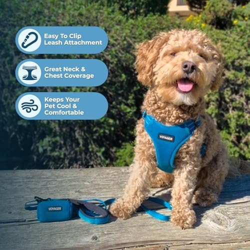 Best Pet Supplies Voyager Adjustable Step-in Flex Breathable Mesh Dog Harness - Image 6