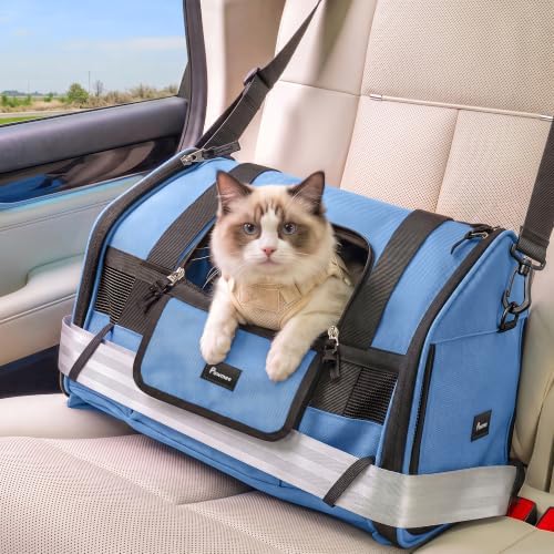 Soft-Sided Travel Cat Carrier by Pawmee