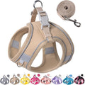 Dog Harness for Small Medium Sized Dog, Puppy Harness and Leash Set Training by Aecllcea