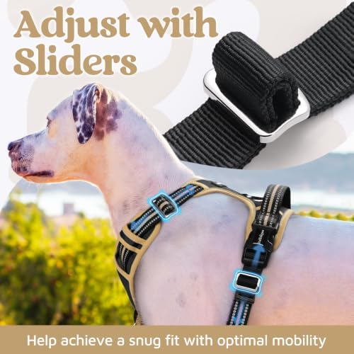 rabbitgoo Dog Harness Small Sized, No Pull 3 Buckles Easy On & Off - Image 4