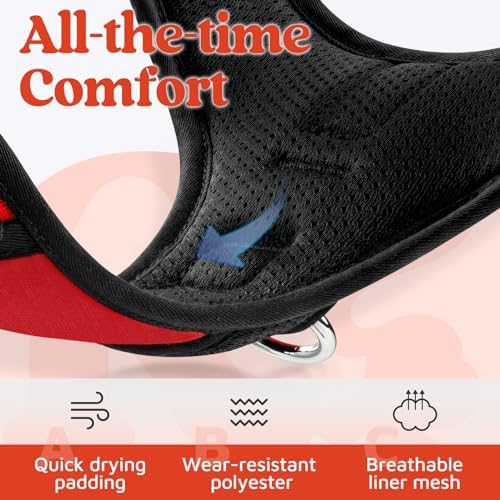 rabbitgoo Dog Harness Small Sized, No Pull 3 Buckles Easy On & Off - Image 6