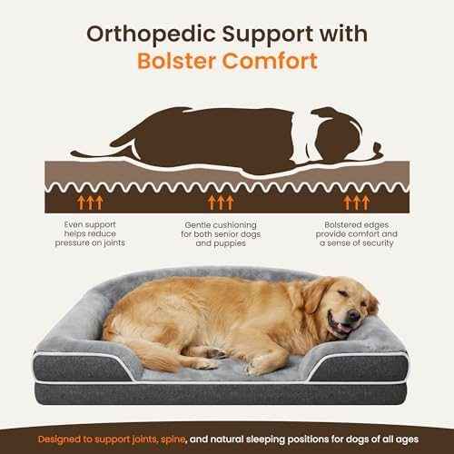 Orthopedic Dog Bed for Giant Breeds - Image 3