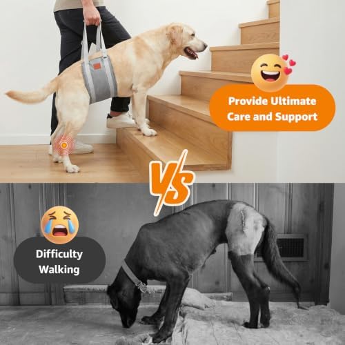 LOOBANI Dog Sling for Large Dogs Hind Leg Support Injury Rehabilitation - Image 2