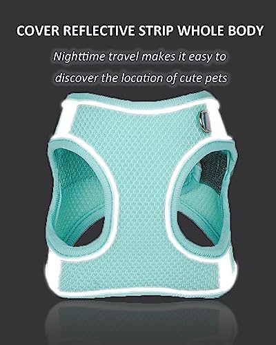 Solmoony BlueXXS Step-in Dog Harness & Leash Set, Vest - Image 4