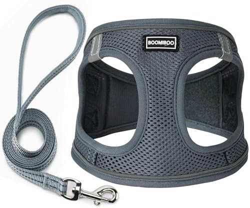 Dog Harness with Leash Set, Step-in Adjustable Puppy Pet Vest by BOOMIBOO