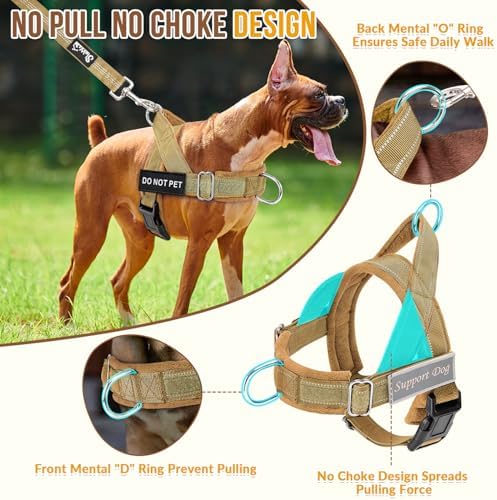 Lukovee No Pull Dog Harness and Leash Set, Soft Padded - Image 2