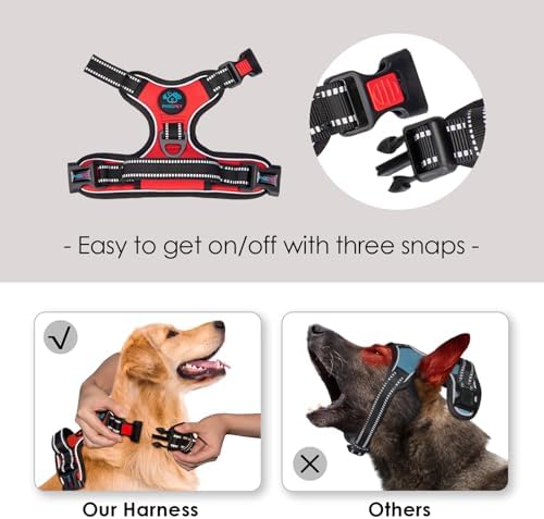 PHOEPET No Pull Dog Harnesses for Small Dogs Reflective Adjustable - Image 3