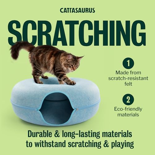 Cattasaurus Peekaboo Cat Cave Donut - Image 6