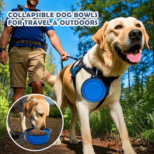 42 Inch Collapsible Dog Travel Crate - Image 5