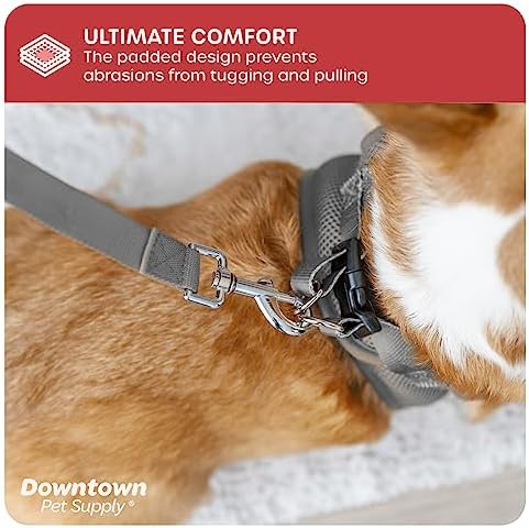 Downtown Pet Supply Step in Dog Harness No Pull, Light Gray - Image 6