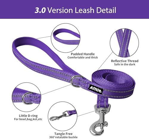 AIITLE Small Dog Harness and Leash Set, Step-in Puppy Pet Vest - Image 4