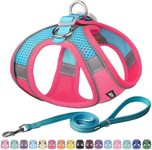 AIITLE Dog Harness and Leash Set, Step-in Puppy Pet Vest, Hot Pink XS by AIITLE-FORPETSBETTERLIFE
