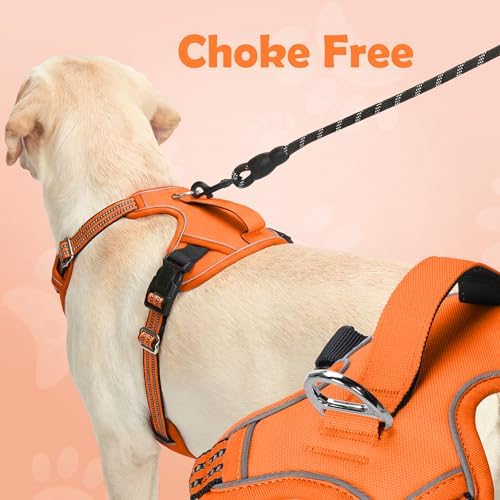 Funfox Dog Harness No Pull, Adjustable Pet Vest Harness, Super Soft Material - Image 4