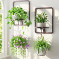 LASZOLA Plant Picture Frame Holder Shelf Wall Window Indoor by LASZOLA