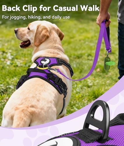 Joytale No Pull Dog Harness for Small Dogs, Front Clip - Image 4