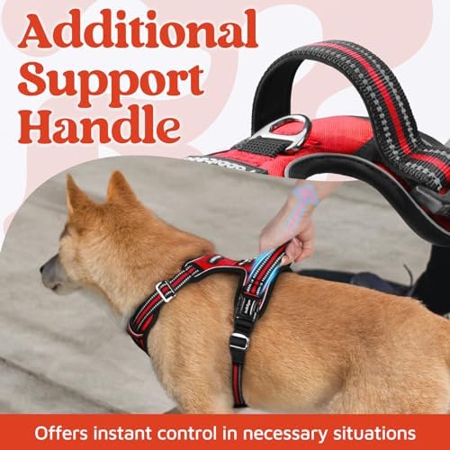rabbitgoo Dog Harness for Large, No Pull 3 Buckles Easy On & Off - Image 4