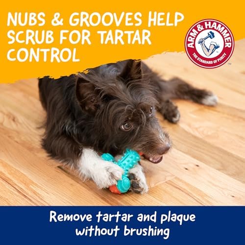 Arm & Hammer Nubbies Wishbone Dental Dog Chew Toy, Chicken Flavor - Image 3