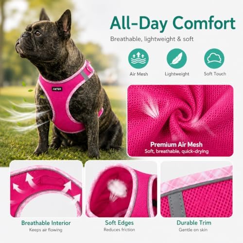 AMTOR Small Dog Harness with Leash Set, No Escape Easy Walk Puppy Harnesses - Image 2