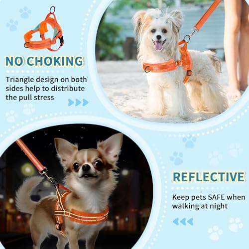 Lukovee Small Dog Harness and Leash Set, No Pull Soft Padded Vest - Image 6