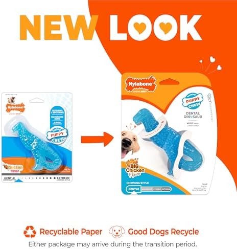 Nylabone Puppy Chew Dental Dinosaur Dog Chew Toy, Chicken Flavor - Image 3