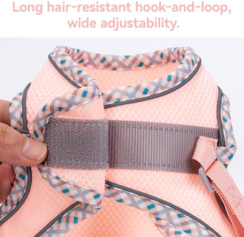 Petank Step in Dog Harness No Pull and Leash - Image 5