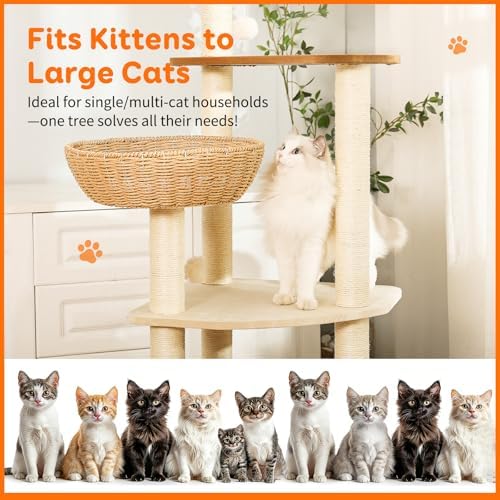 55.5-Inch Modern Cat Tree for Large Cats - Image 6