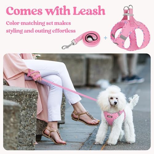 rabbitgoo Dog Harness Small Sized and Leash Set, Step-in Puppy Pet Vest - Image 5