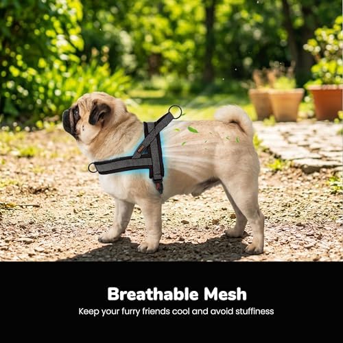 Didog No Pull Dog Harness for Medium Dogs, Breathable Mesh Padded - Image 2