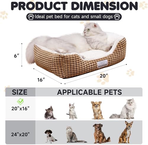 Small Dog Bed for Small Dogs, Cat Beds for Indoor Cats Washable, Rectangle Dog - Image 5