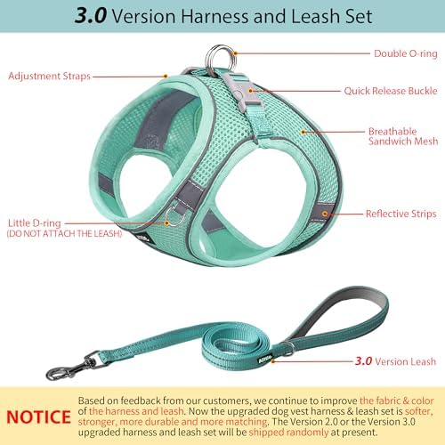 AIITLE Dog Harness and Leash Set, Step-in Puppy Vest, Pure Turquoise XXXS - Image 2