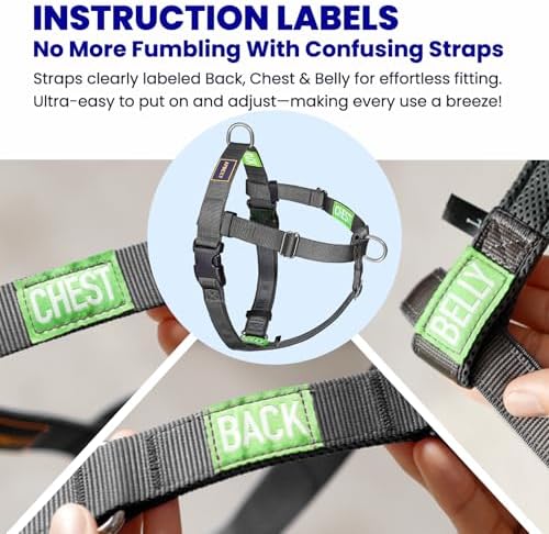 No Pull Dog Harness Front Clip - Image 4