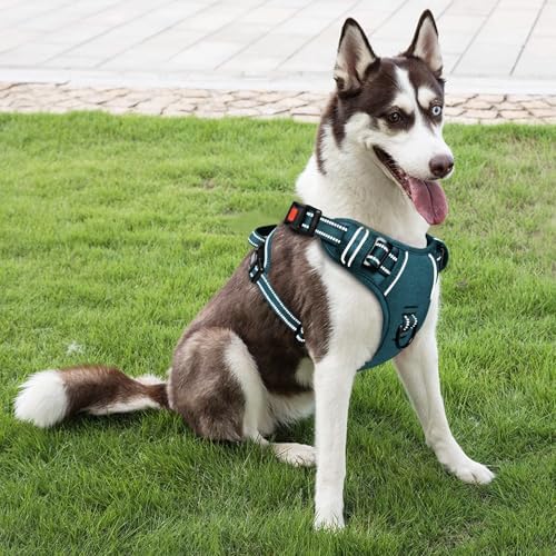 Timos Dog Harness, No Pull Large Sized - Image 6
