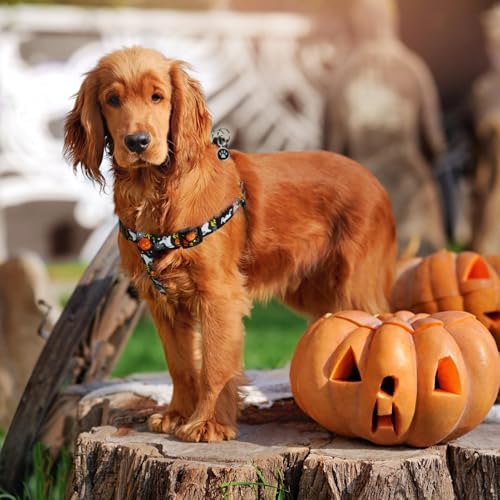 PUPTECK Halloween Dog Harness Medium Sized Step-in Adjustable Puppy Vest - Image 6