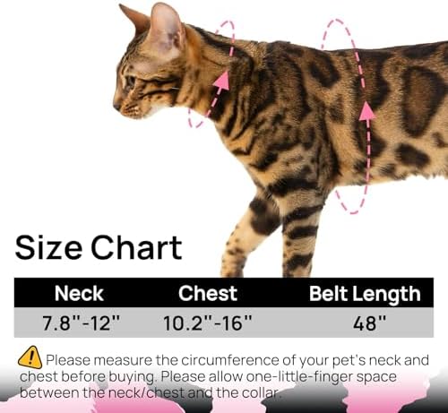 PetThem Adjustable Cat Harness and Leash Set Escape Proof - Image 6