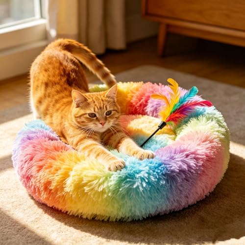 Cat Beds for Indoor Cats by Unknown