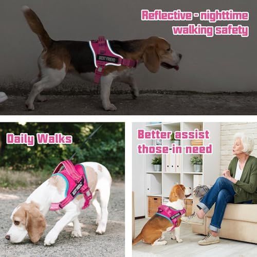 AUROTH Dog Harness and Leash Set - Image 5