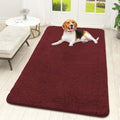 OLANLY Dog Door Mat for Muddy Paws 59x32, Super Absorbent Chenille Mud Mat by OLANLY
