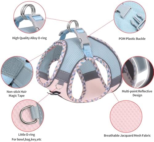 AIITLE Breathable Dog Harness Small Sized and Leash Set - Image 5